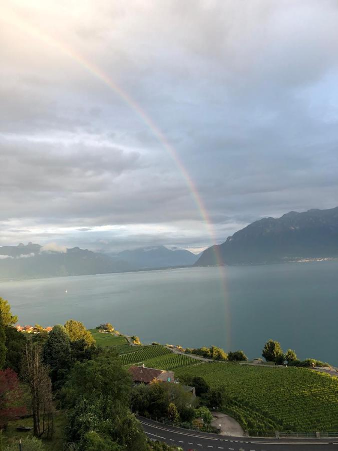 Room With 360° View Overlooking Lake Geneva And Alps Puidoux Exteriér fotografie