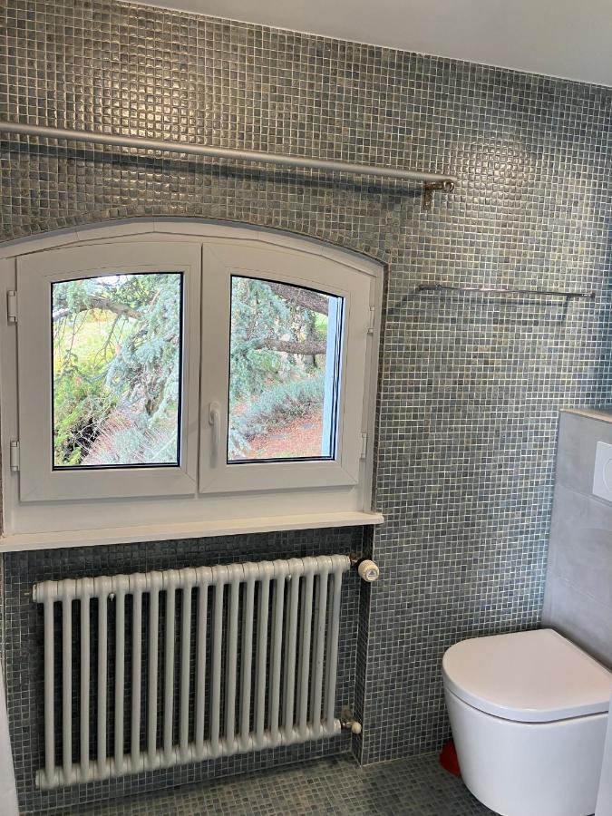 Room With 360° View Overlooking Lake Geneva And Alps Puidoux Exteriér fotografie