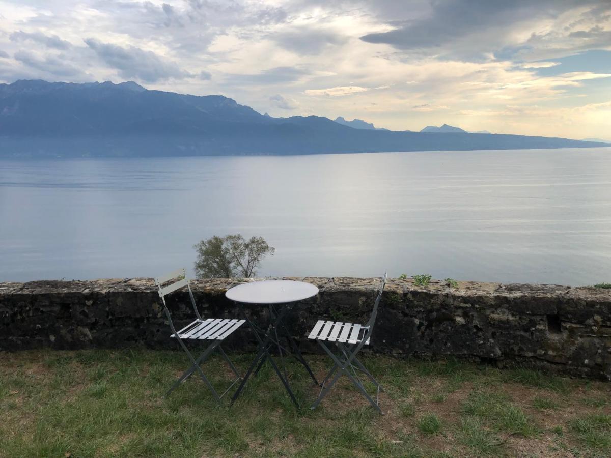 Room With 360° View Overlooking Lake Geneva And Alps Puidoux Exteriér fotografie