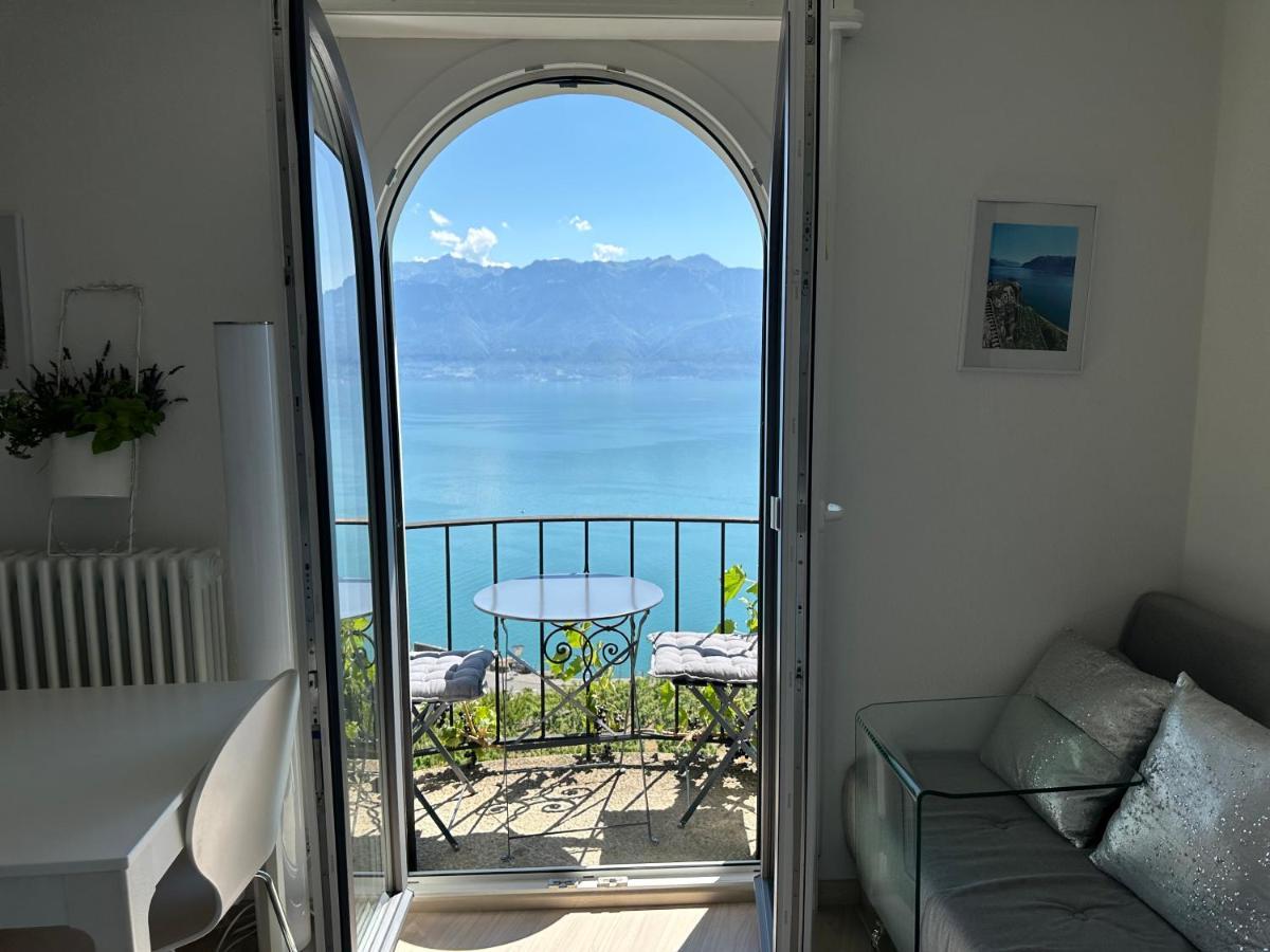 Room With 360° View Overlooking Lake Geneva And Alps Puidoux Exteriér fotografie