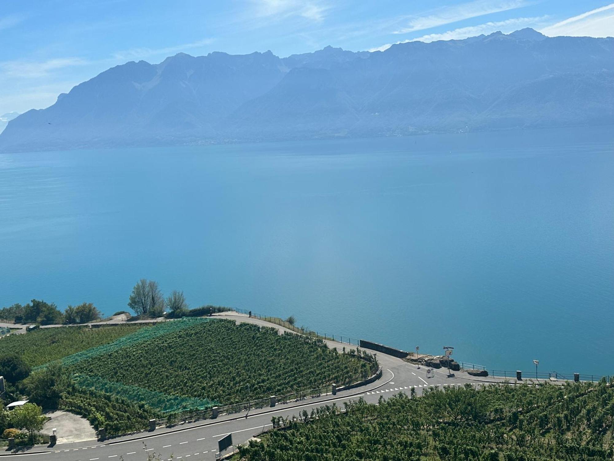 Room With 360° View Overlooking Lake Geneva And Alps Puidoux Exteriér fotografie
